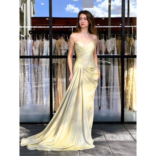 Y543 - QYN Anne Victoria Gold Gown
