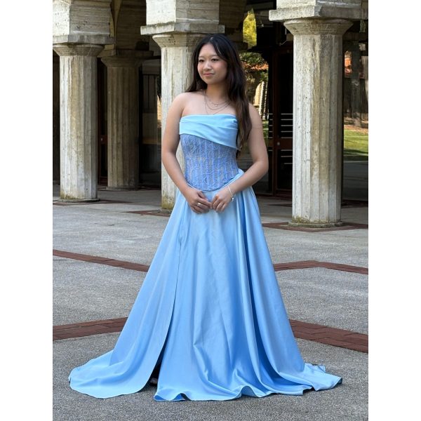 Y599 – QYN Sophie Alyson Blue Gown